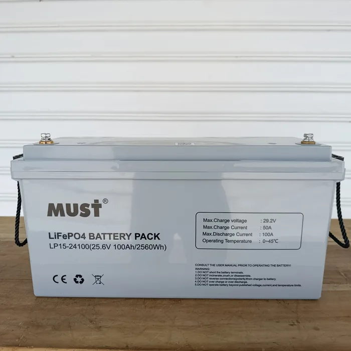 Batería de Litio LiFePO4 MUST 24V 100Ah  | 4000 Ciclos — vista 2