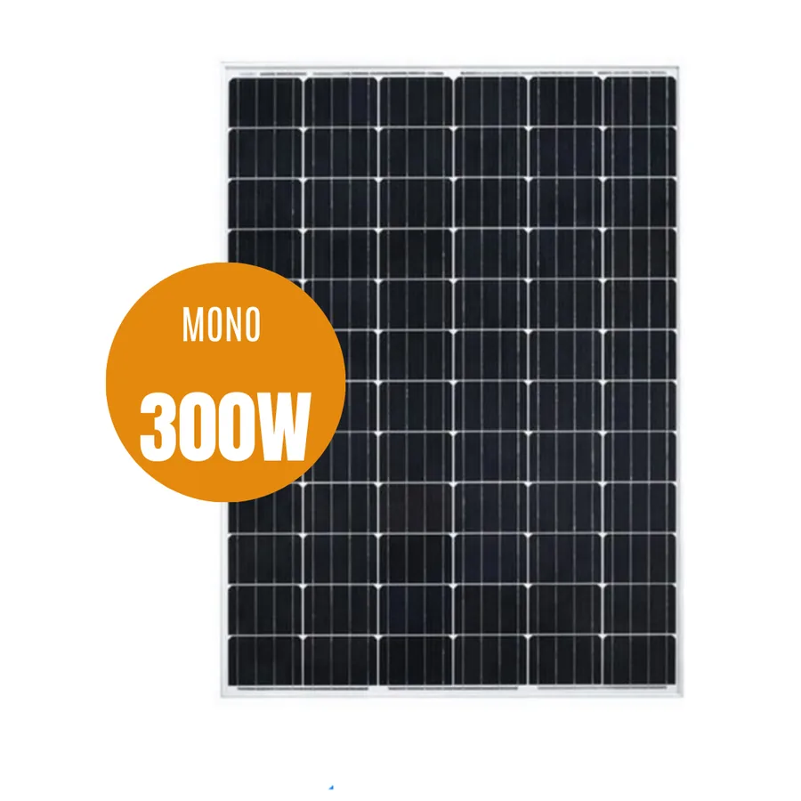 Panel Solar Monocristalino 300W BegProd